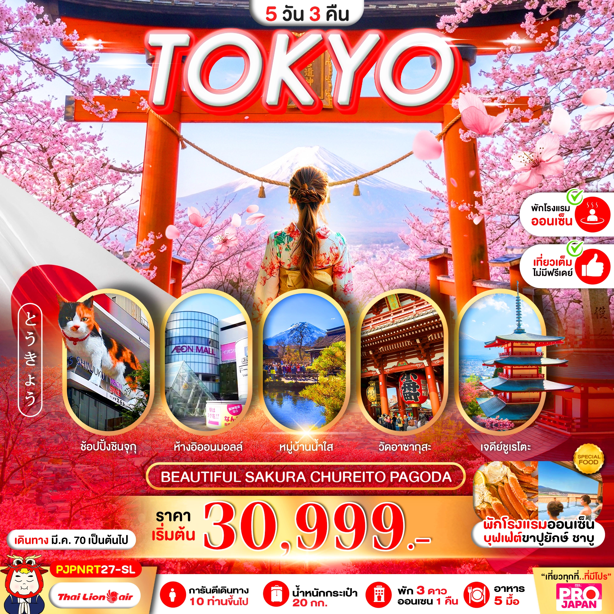 ทัวร์ญี่ปุ่น PRO TOKYO BEAUTIFUL SAKURA CHUREITO PAGODA FULL DAY 5วัน 3คืน (SL)